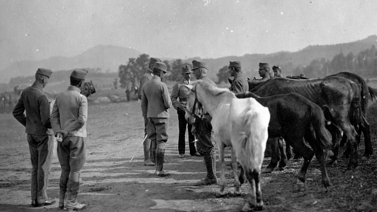 1627.- La Grande Guerra per immagini 1X23 - trasporto animali
