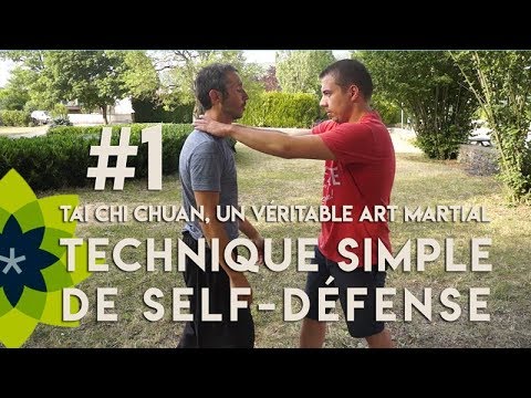 TECHNIQUE SIMPLE DE SELF DEFENSE  1  LE TAI CHI CHUAN UN VERITABLE ART MARTIAL  Esprit Du Corps