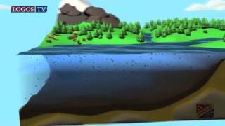 The Carbon and oxygen cycles