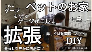 【DIY】091ペットの木製ゲージを拡張しました!@AtakatsuChannelアタカツ