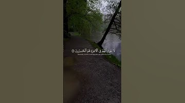 #quran #قران_كريم #ماهر_المعيقلي #تلاوة_خاشعة #قرآن #quran_kareem #foryou #اكسبلور #video  #دويتو
