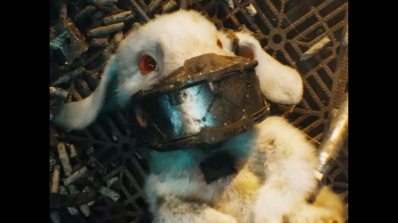 Rocket, Teefs, Floor go now! Rocket Sad Scene Galaxy Of The Guardians