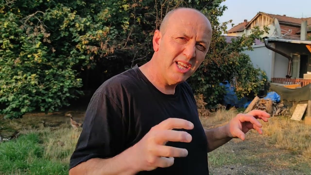 /// UMMADIĞIN TAŞ BAŞ YARAR BARIŞ BEYDEKİ ÜST DÜZEY HAYVANLAR ///