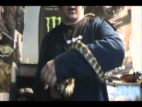New Carpet Python (Irian Jaya)