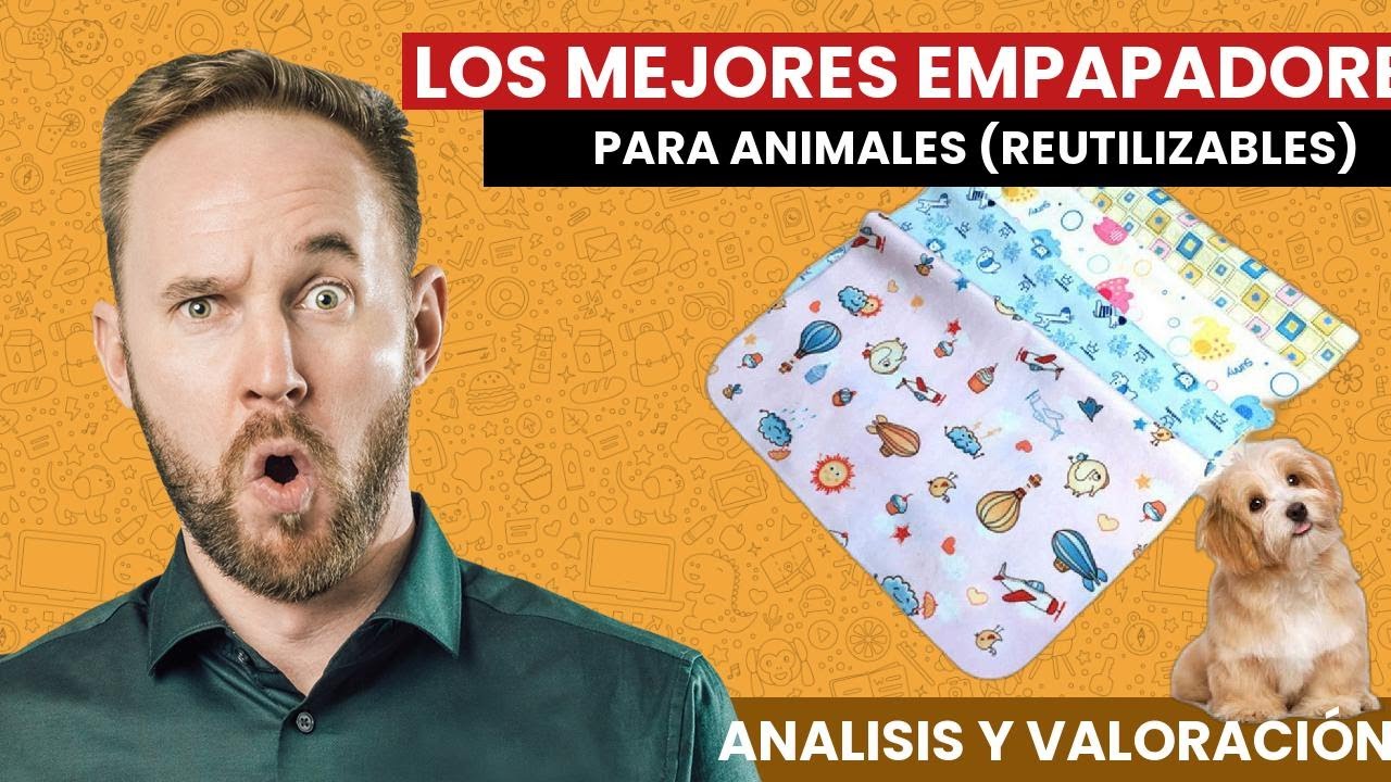 Los MEJORES Empapadores Reutilizables para PERROS y GATOS 2021 ??