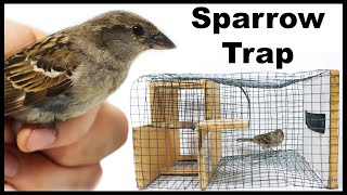 Testing out the Elevator Door Sparrow Trap