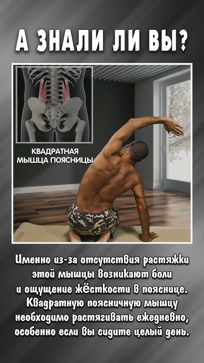 РАСТЯЖКА КВАДРАТНОЙ МЫШЦЫ ПОЯСНИЦЫ - YouTube