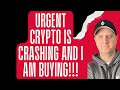 Crypto is crashing  and i am buying shiba inu price prediction