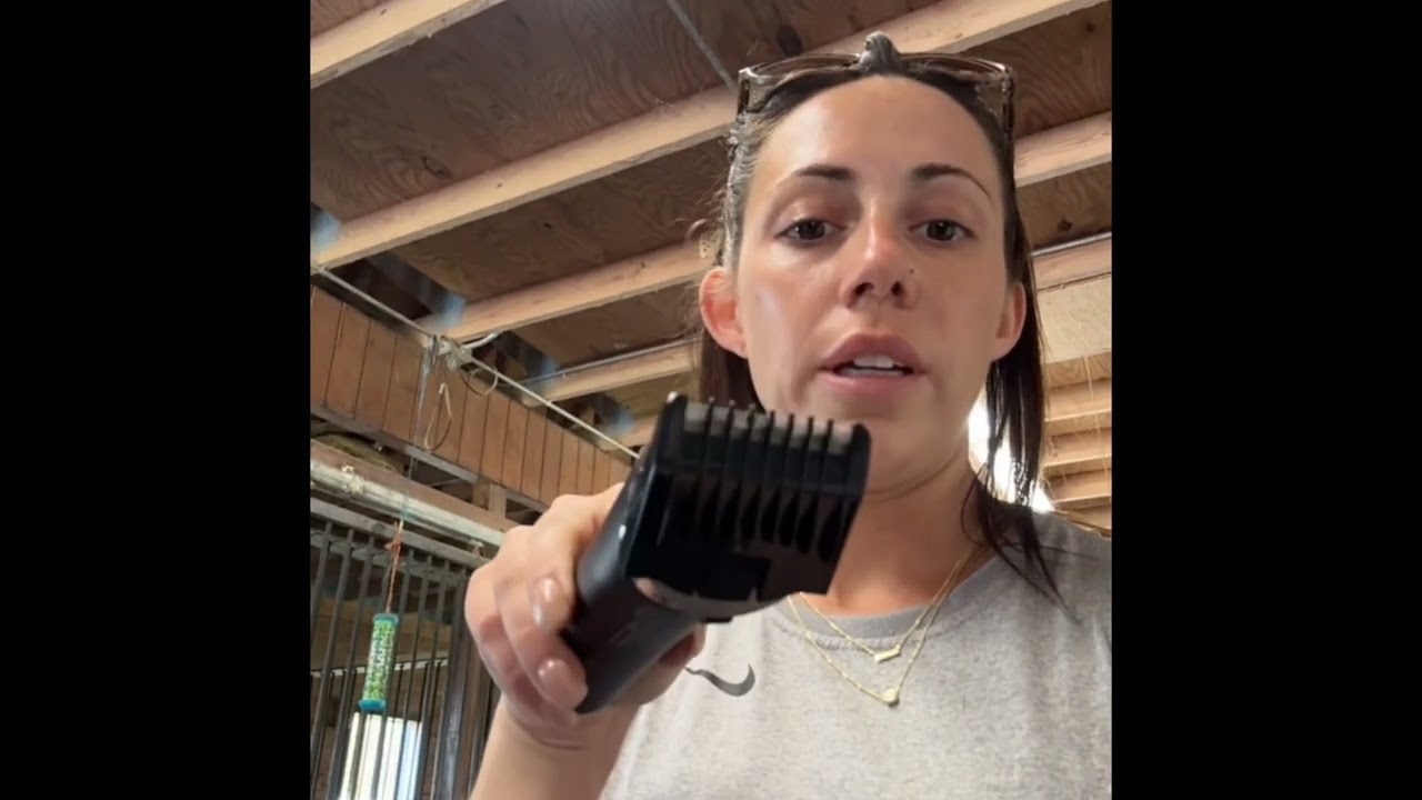 The BEST Amazon clippers and tail shaving.