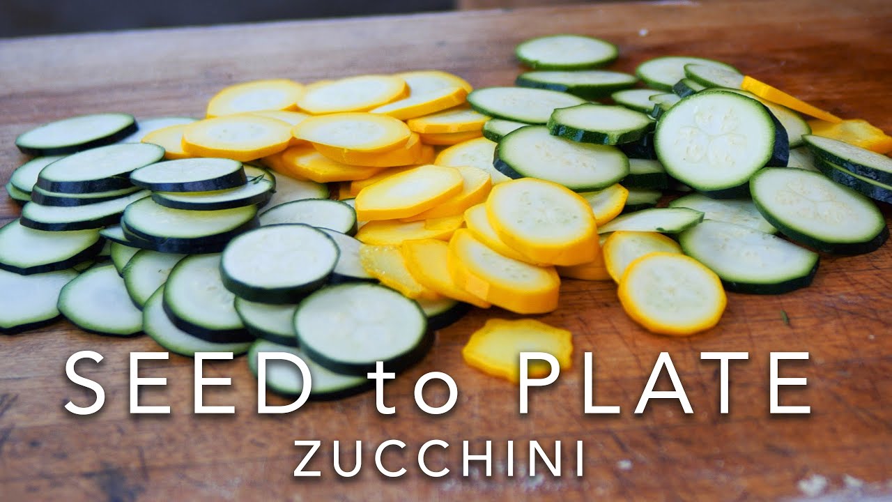 Из семян на тарелку — цуккини E5