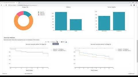 Demonstration of the Visual Analytics Tool