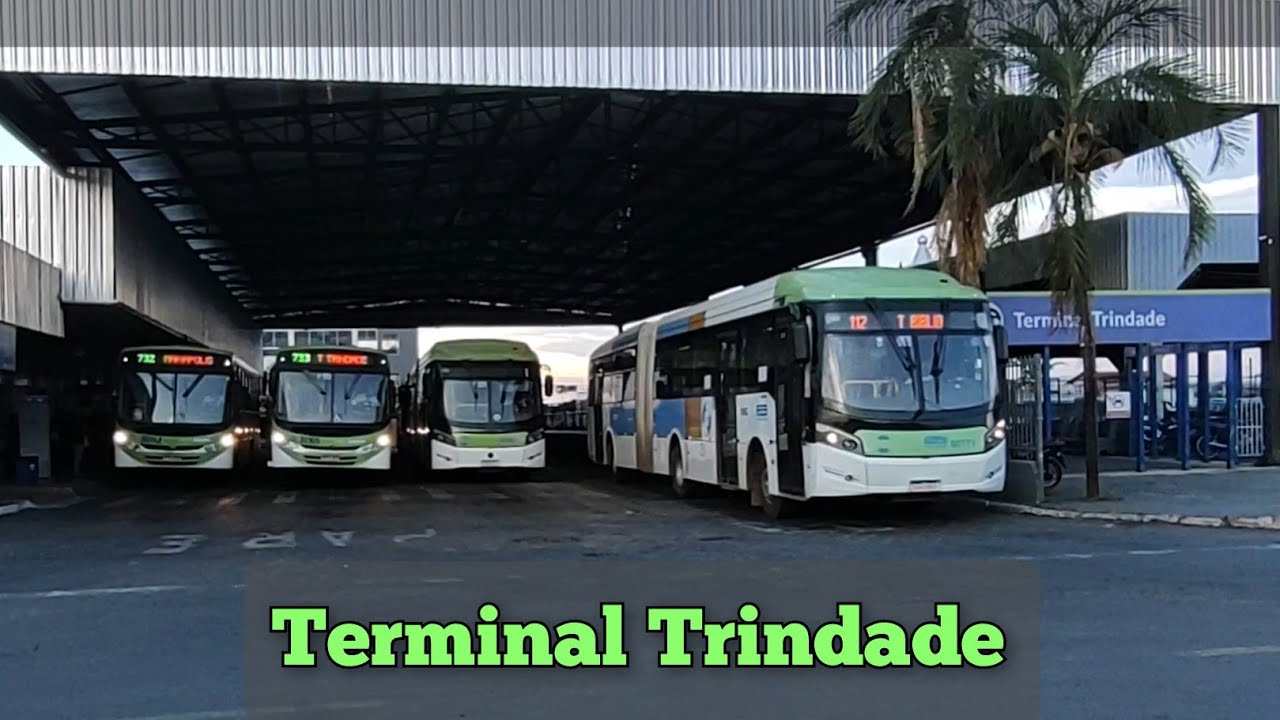 Movimento de Ônibus 