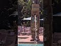 The longer I look at this water feature, the weirder it looks.