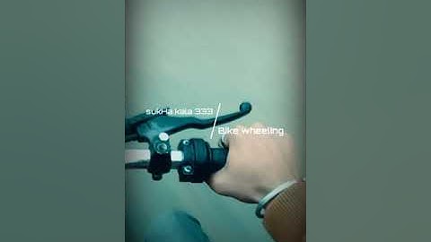 333 SukHa Butt Kala Wheeling at Canal Road Toba Tek Singh