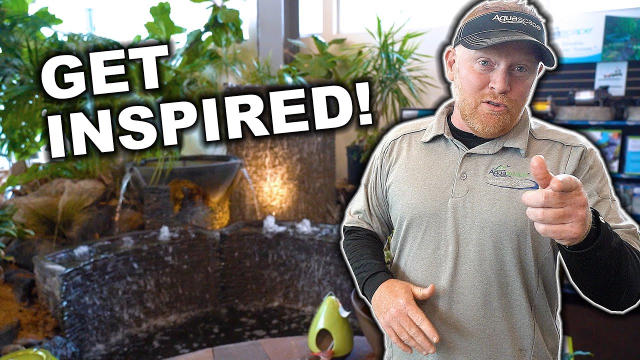 POND and Water Gardening Retail Store: A Destination for Inspiration!