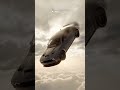 #music#edit#automobile#car#3d