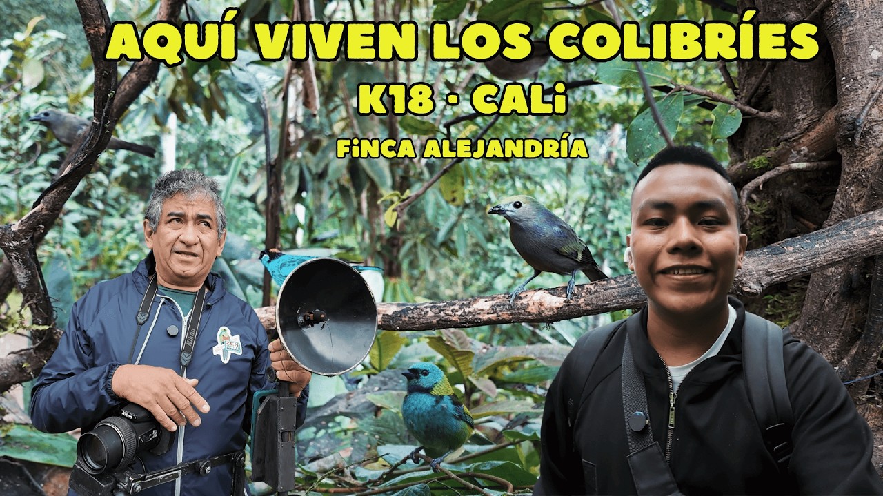 K18 | El santuario de las aves que pocos conocen en Cali, Valle del Cauca