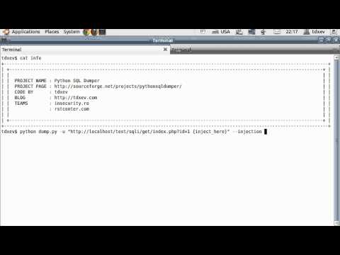 Python SQL Dumper - How to set BLIND SQL injection
