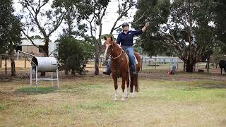 Lets Get Cracking With Noella Angel Cracking A Whip From Your Horse