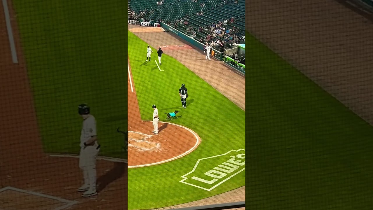 Вечером в парке «Лай» с «Шарлотт Найтс»!