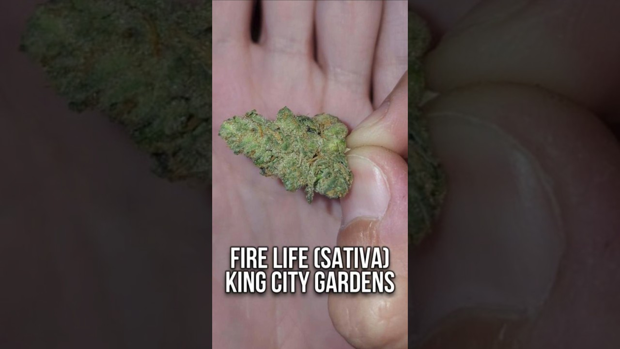 FIRE LIFE Joint To Wake & Bake Today!!