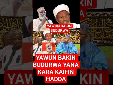 THE MANY EYES OF A GIRL MAKE THE CONNECTION INTENSIFY 