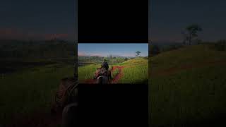 Red Dead Redemption 2 #shorts #rdr2 #gaming