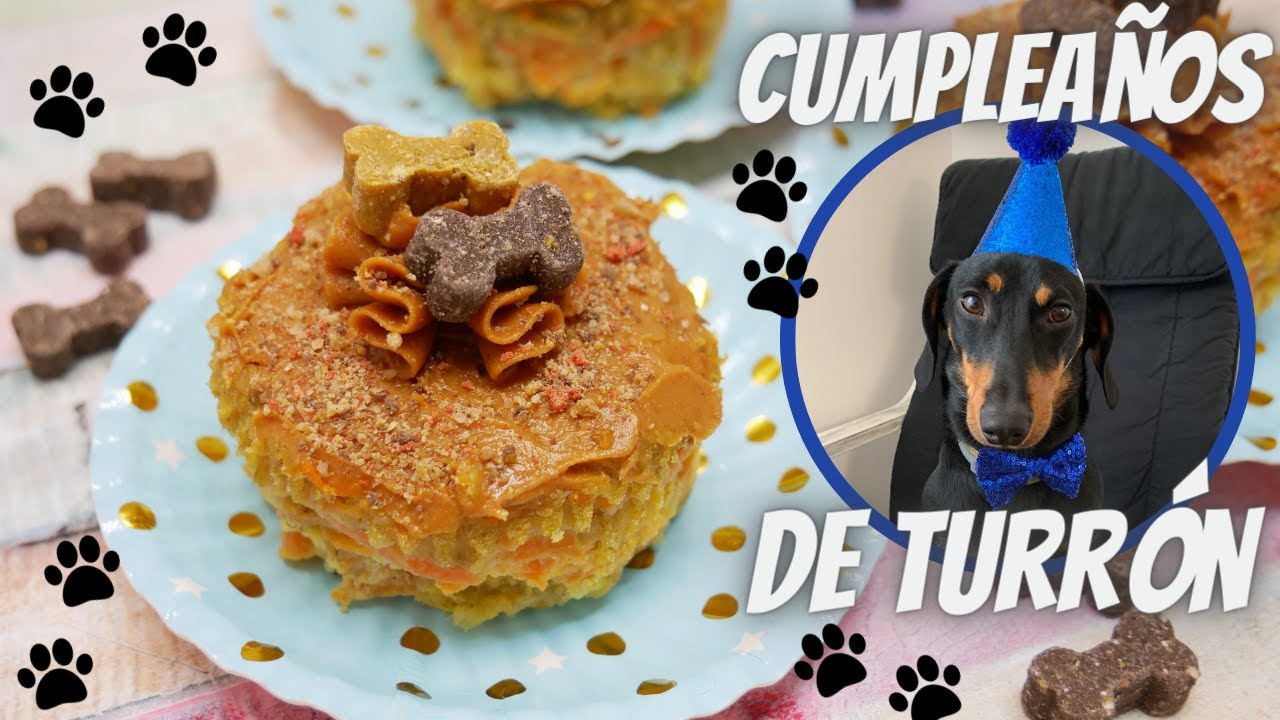 Tarta de cumpleaños para PERROS / MUY FÁCIL / El Rincón de Belén