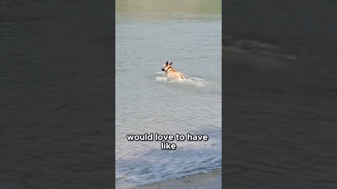 Top Neighborhood Features Every Family Should Check Before Buying! 