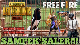 JANGAN NANTI MBALON‼️KACER EMOSI CARI LAWAN