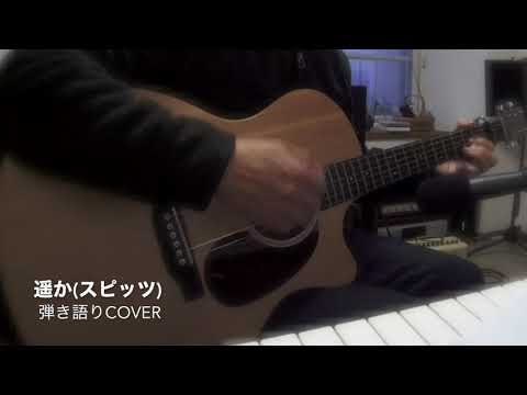 遥か(スピッツ)弾き語りCOVER