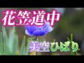 の58.花笠道中(美空ひばり)