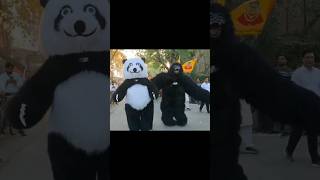 panda moments #📍paschim vihar #shreeshyam #yatra #trendingshorts #reels #1176 #bhalu#cartoon #status