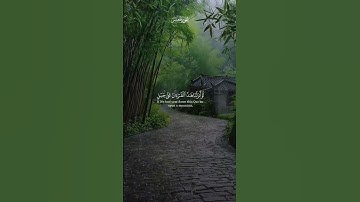 تلاوات الشيخ ياسر الدوسري #سورة_الحشر #quran