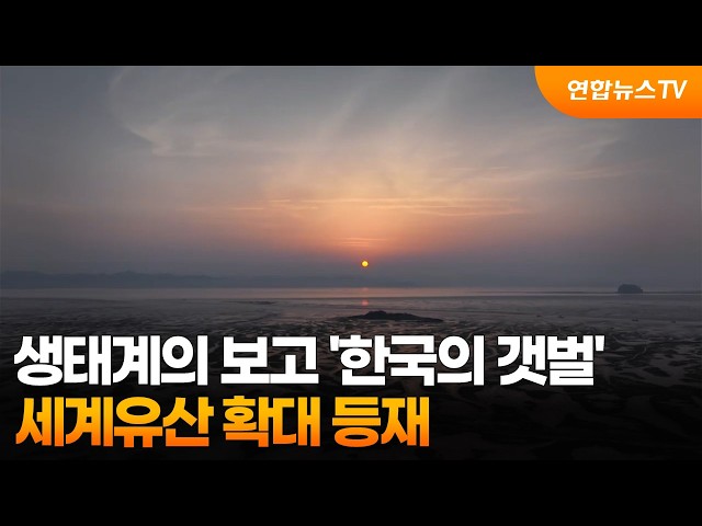 생태계의 보고 '한국의 갯벌'…세계유산 확대 등재 / 연합뉴스TV (YonhapnewsTV)