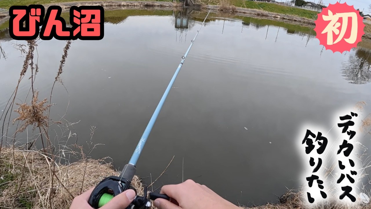 初めてのびん沼1時間でデッカいバスは釣れるのか？埼玉県