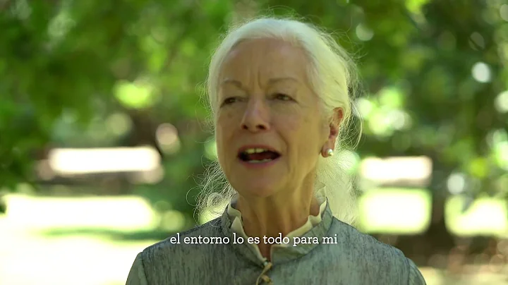 #ManifiestoMajadas x Scilla Elworthy