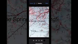 How to Add Text to Photo in Photos App on iPhone (2024) screenshot 2