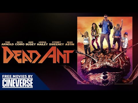 DEAD ANT