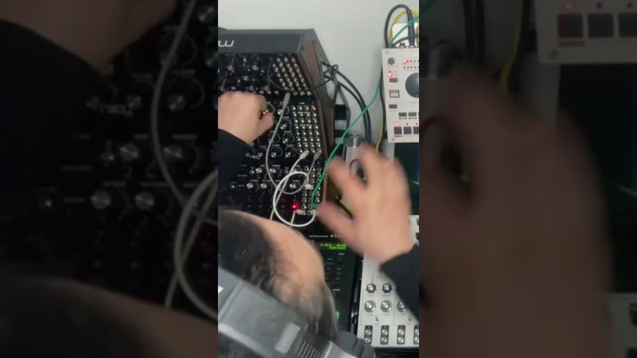 Moog studio: Deep and warm sound 