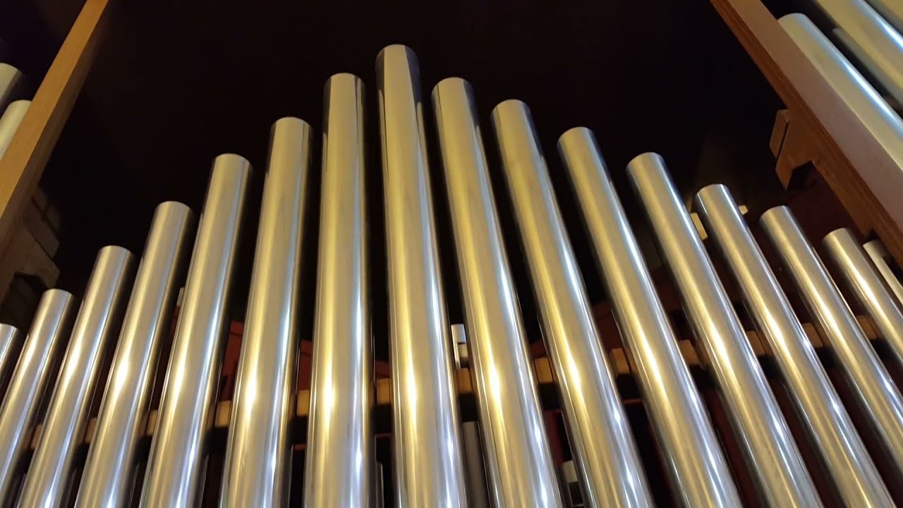 Tutorial per animare la liturgia con 2 I MANUALI, I