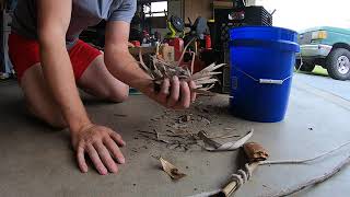 Bow drill friction fire part 2