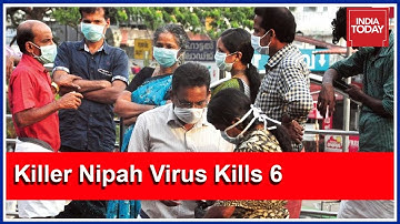 Killer Nipah Virus Claims 6 Lives In Kozhikode; Central Medical Team Rushed To Kerala