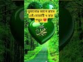 ঘুমানোর আগে রাতে এই দোয়াটি ৭ বার পড়ুন ❤️#dua #islamicshorts #সব #motivation #islamicstatus #আম #waz