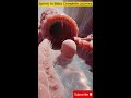 How a Baby Is Formed | Sperm to Baby Complete Journey Explained