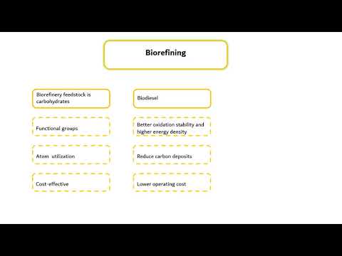 BE4109 Biorefinery System_Module 9 Segment 1