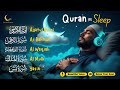 Quran Recitation in A Relaxing Voice I Al-Fatiha, Ayatul Kursi, Ya-Sin, Ar-Rahman, Al-Waqiah