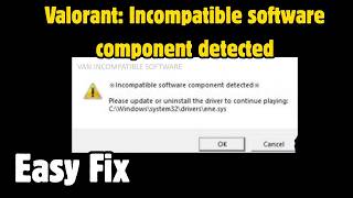 Fix Valorant: Incompatible software component detected