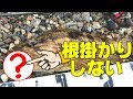 ゴロタ浜で99%根掛かりしないロックフィッシュゲームの全貌とは？釣りすぎ注意！初心者でも快適にシャローエリアを楽しめます。