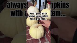 Pumpkin Crafts | Fall Crafting | DIY Pumpkins | Save the Stems!